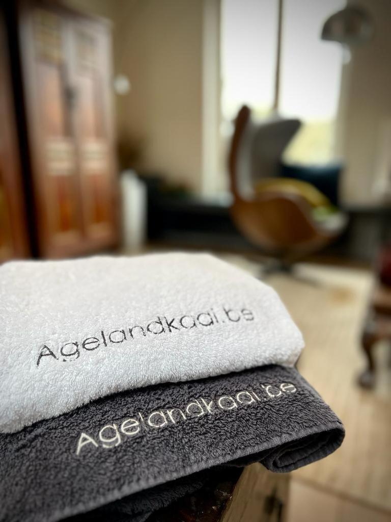 La Belletage By Agelandkaai Be With Free Parking Apartment Ghent Exterior photo